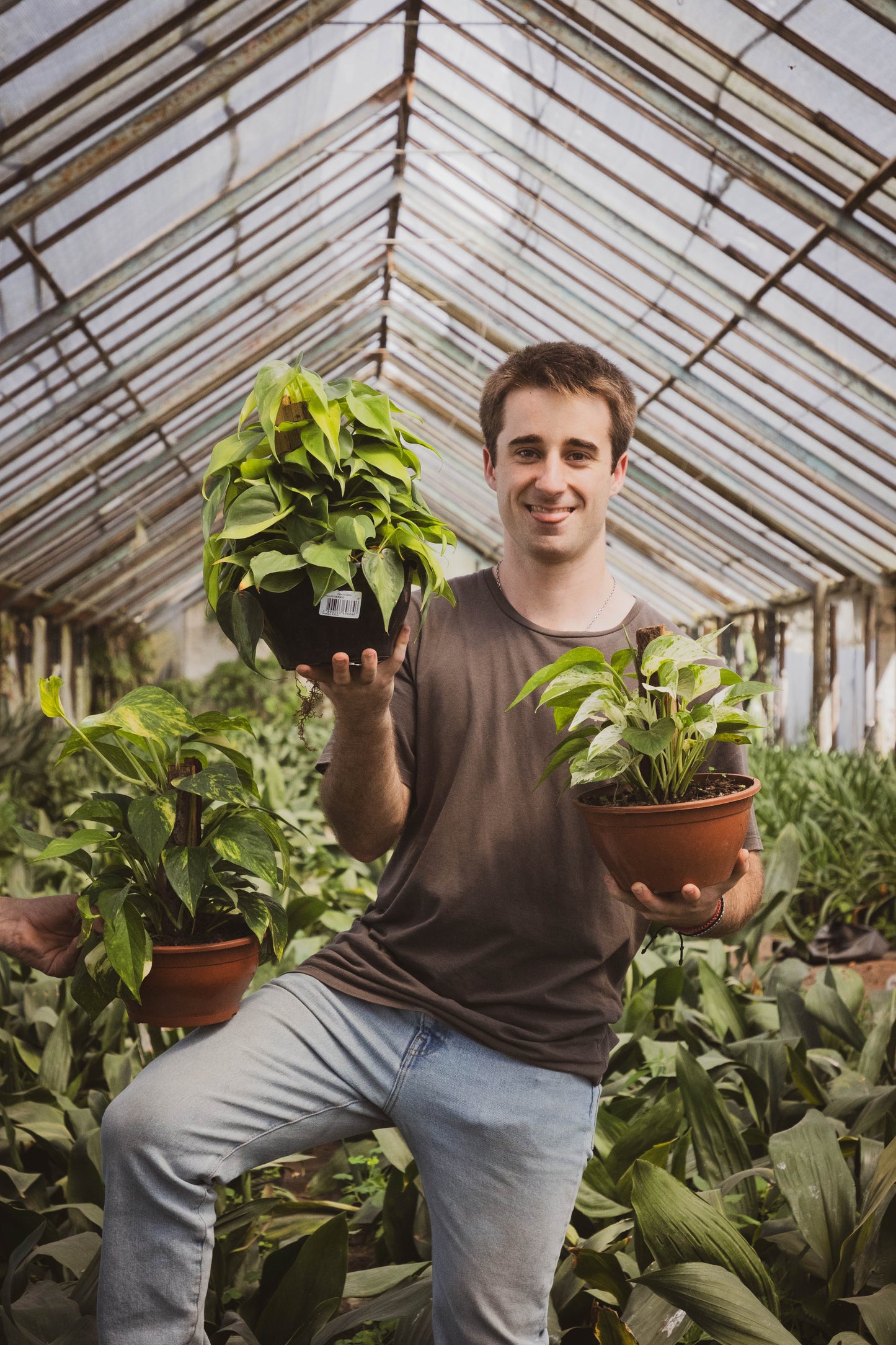 Pack “Mini Verde” – Tu primer paso al mundo de las plantas