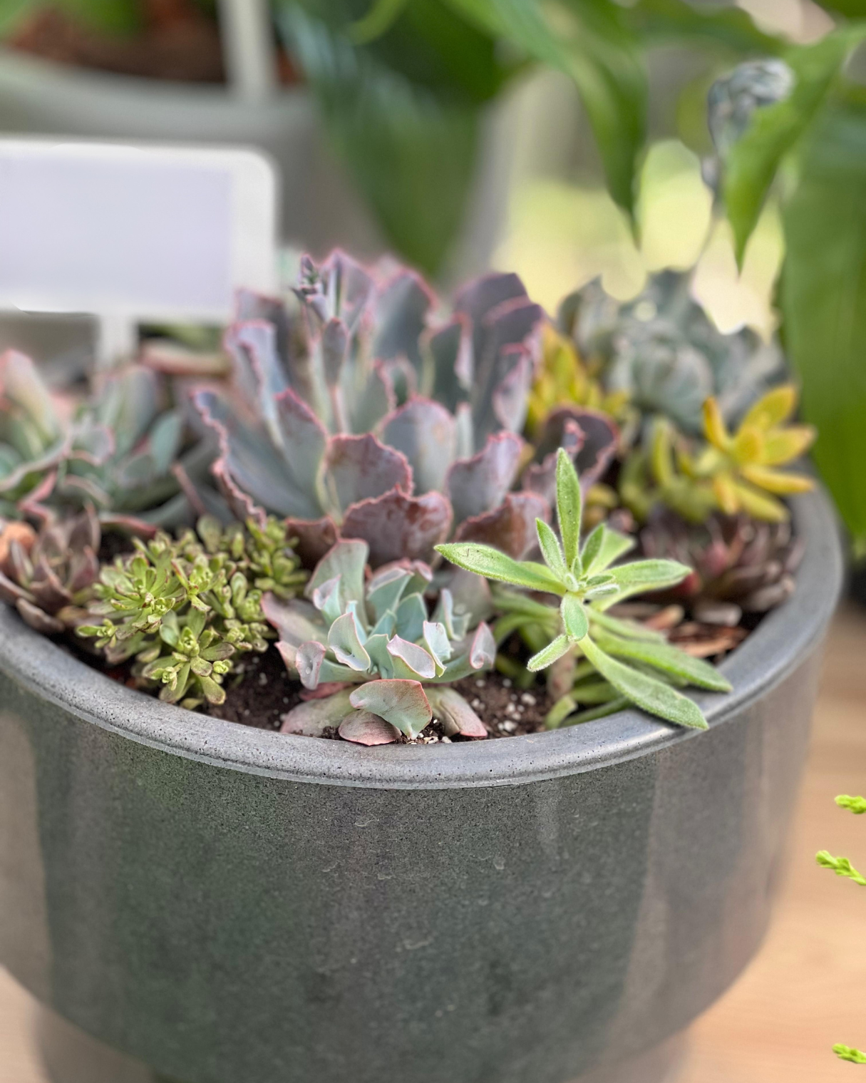 COMBO PERFECTO YA ARMADO