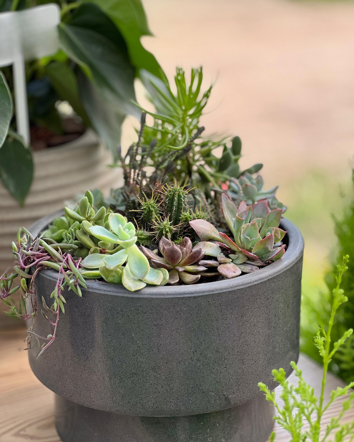 COMBO PERFECTO YA ARMADO