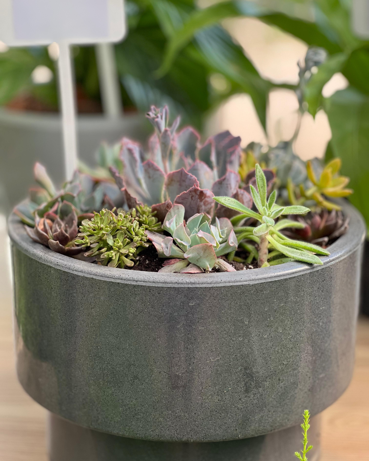 COMBO PERFECTO YA ARMADO