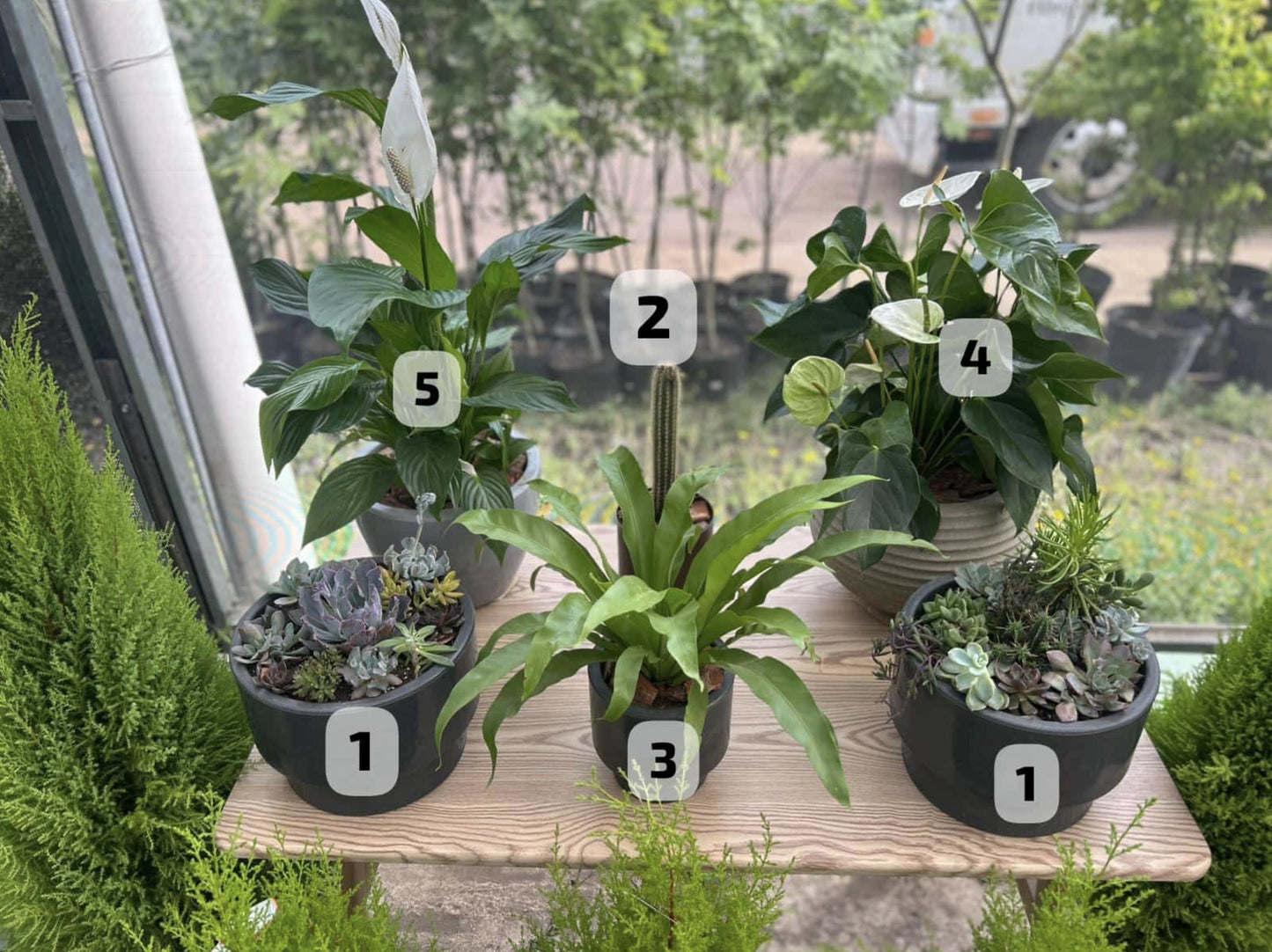 COMBO PERFECTO YA ARMADO