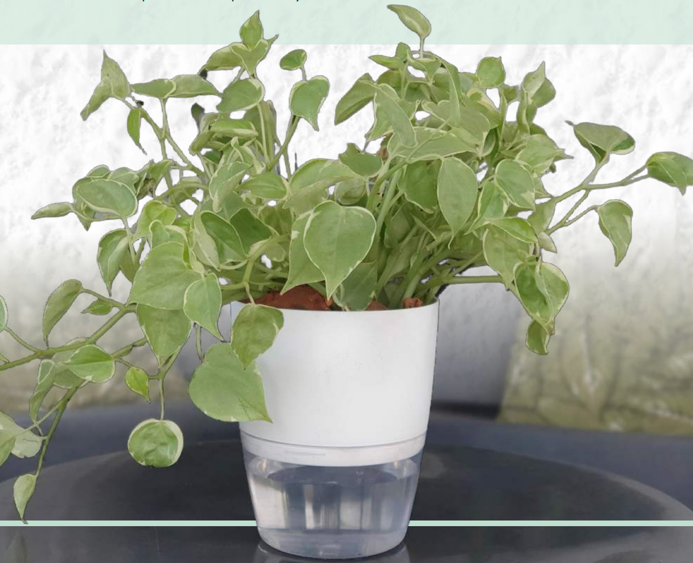 Vaso Acqua – Maceta con autorriego