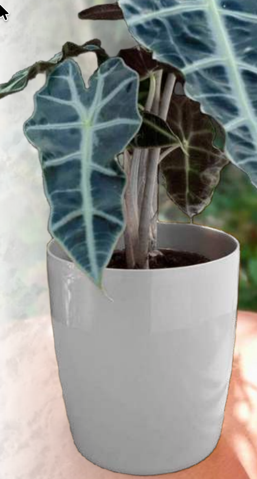 Vaso Orquídea – Maceta especial para orquídeas