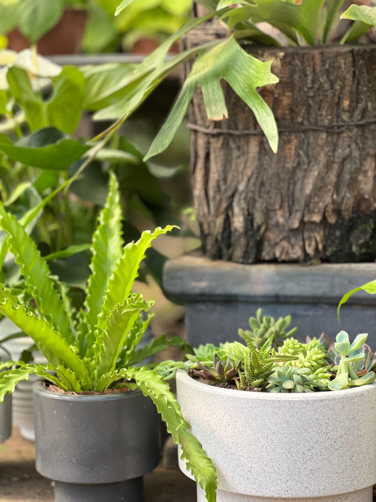 COMBO PERFECTO YA ARMADO