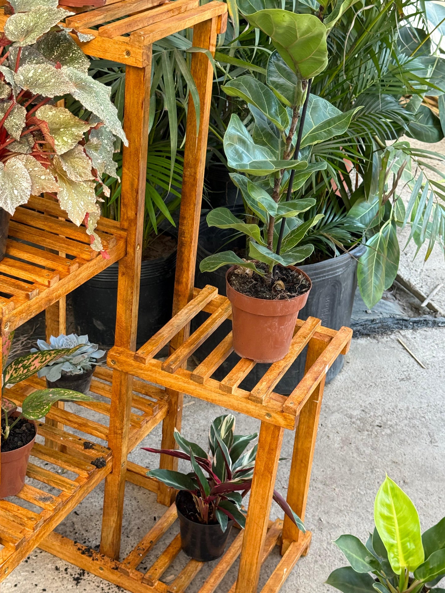 Estante Esquinero para Plantas de Madera – 6 Niveles (100 cm)