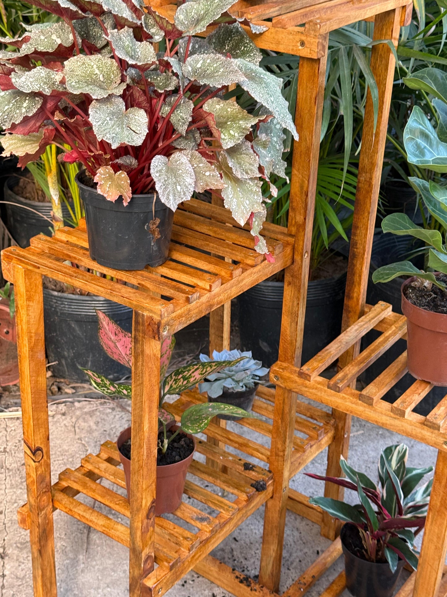 Estante Esquinero para Plantas de Madera – 6 Niveles (100 cm)