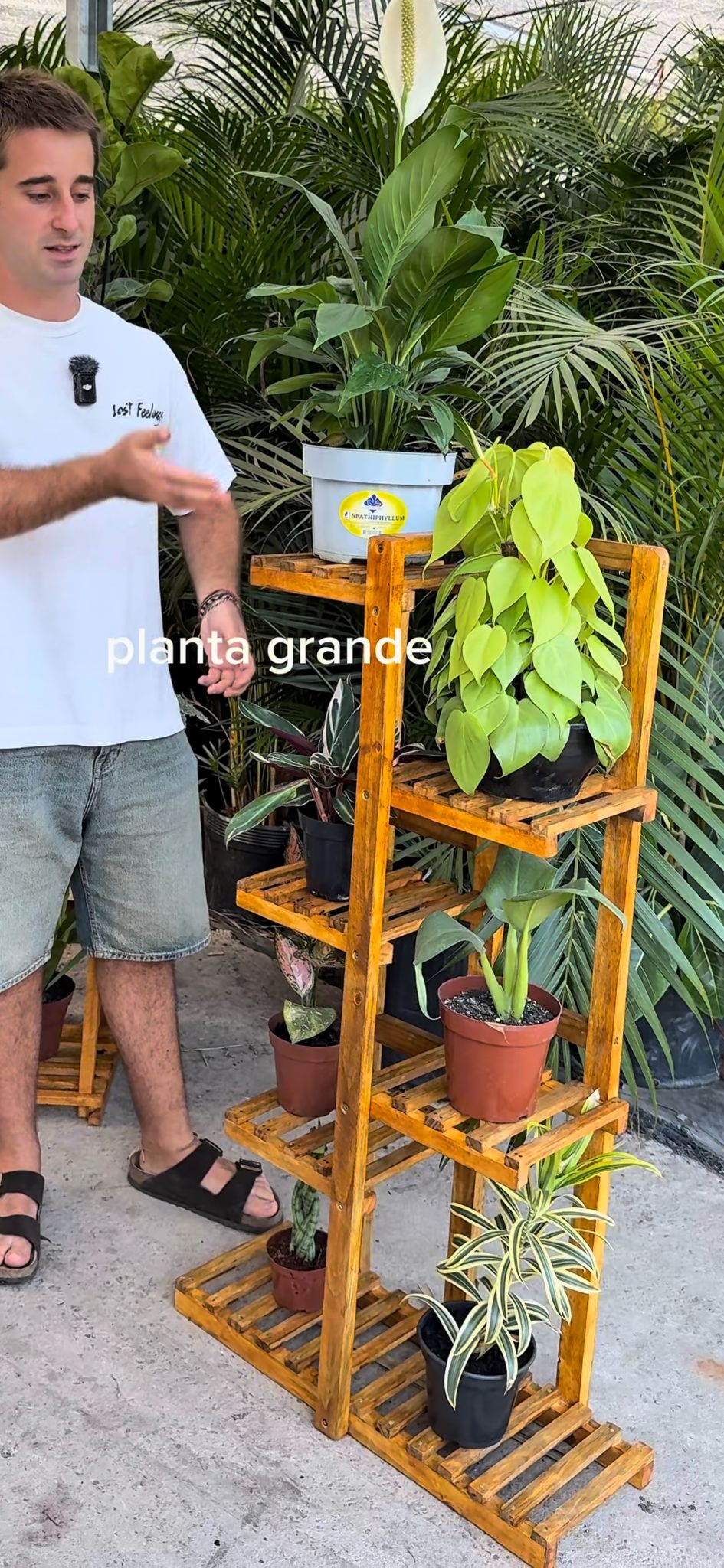 Estante Vertical para Plantas de Madera – 6 Niveles (110 cm)