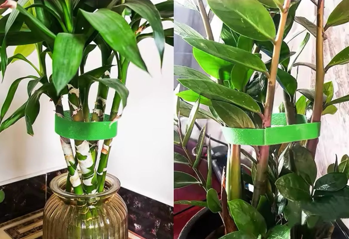 Cinta Sujetadora para Plantas – Rollo de 5 m